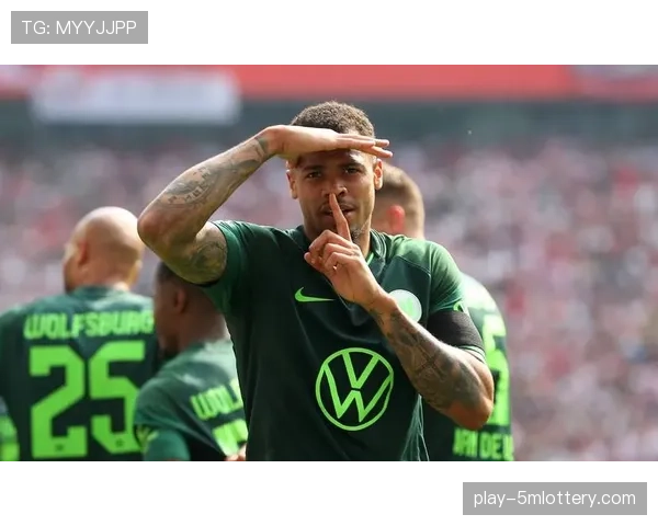 观察：德甲联赛上座率持续冠绝欧洲，本土球迷文化成关键